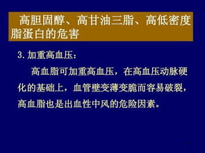 營養(yǎng)科技雙驅(qū)動 功能食品與招生服務(wù)如何助力健康與學(xué)業(yè)